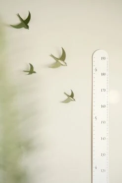 Abricotine Échelle De Croissance Blanche -Fillettes Et Fiston abricotine echelle de croissance blanche 2