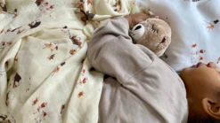 Maovic Housse Vers Le Pôle Nord 6 Maovic Housse Vers Le Pôle Nord -Fillettes Et Fiston maovic housse vers le pole nord 1