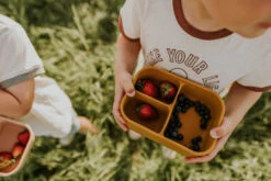 Minika Boîte Bento Sunset -Fillettes Et Fiston minika boite bento sunset 1