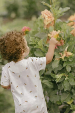 Petit Lem Romper Short Abeilles -Fillettes Et Fiston petit lem romper short abeilles 3